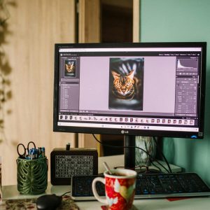 LG 27'' 4K UHD Monitor